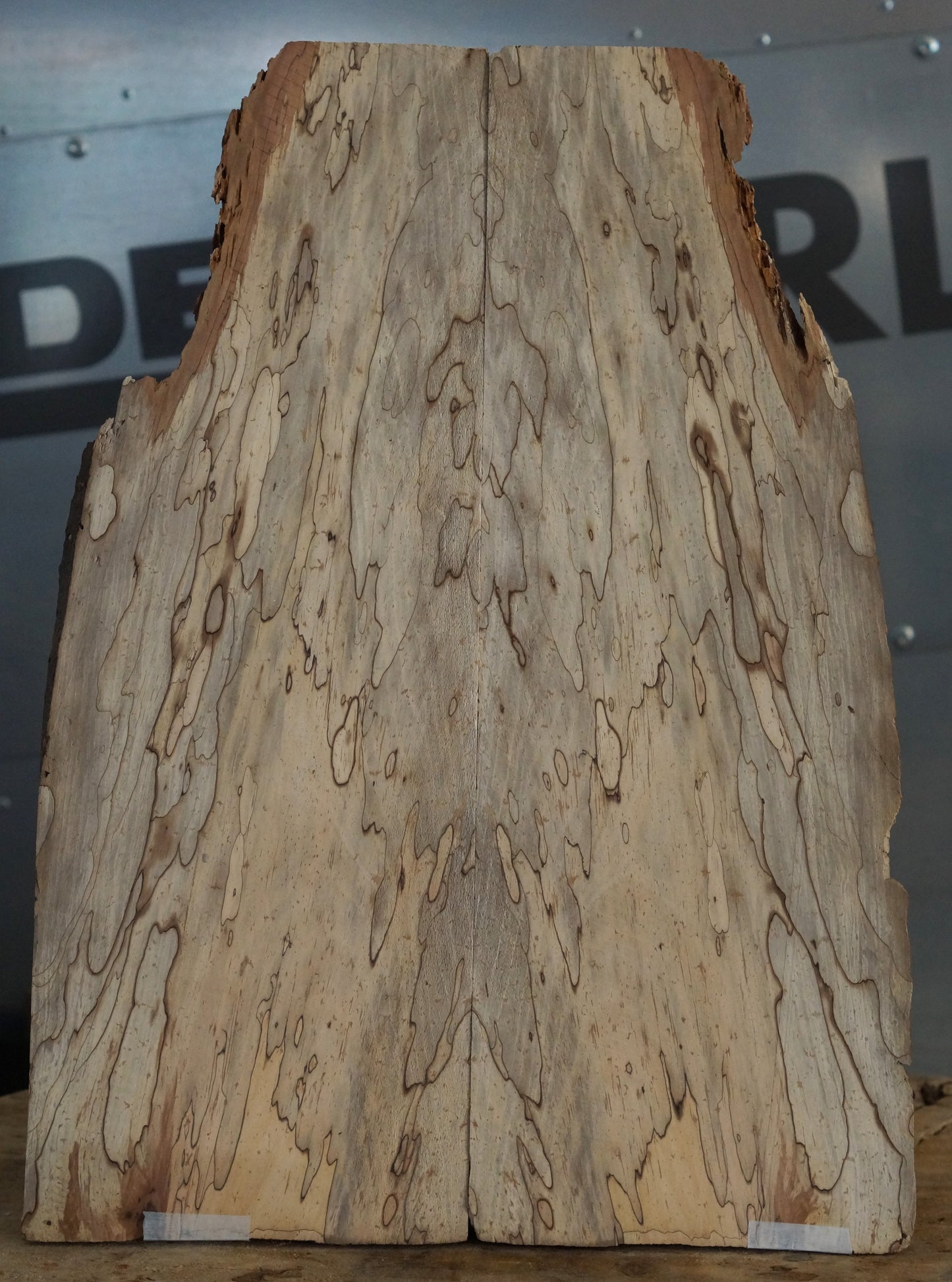Aufleimer Birnbaum gestockt 091222-2