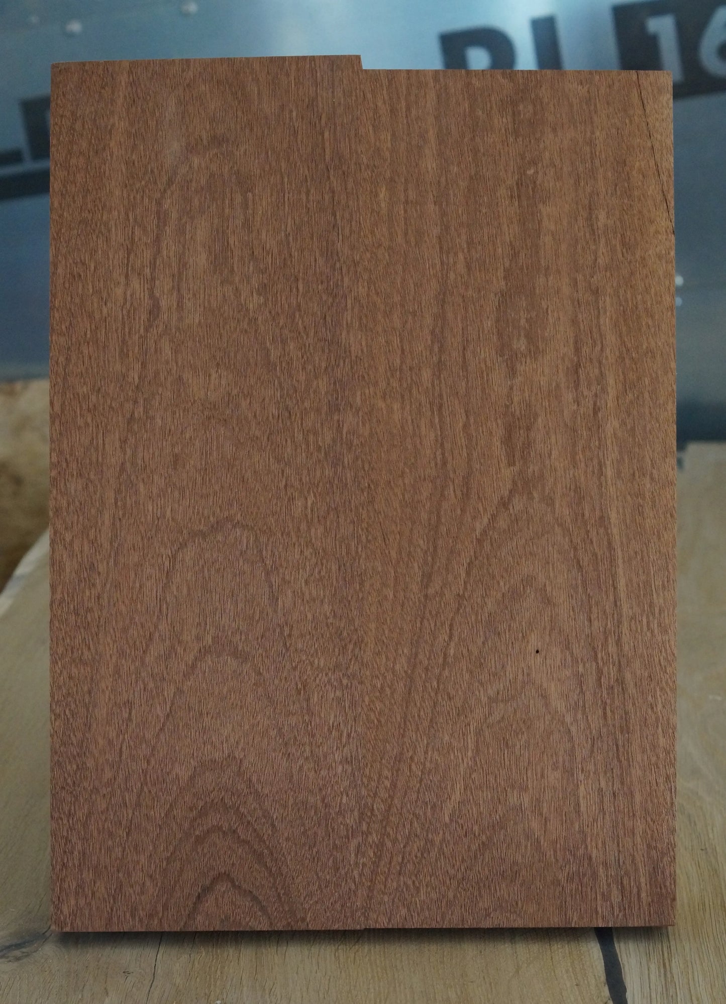 Bodyrohling Swietenia 081124-2