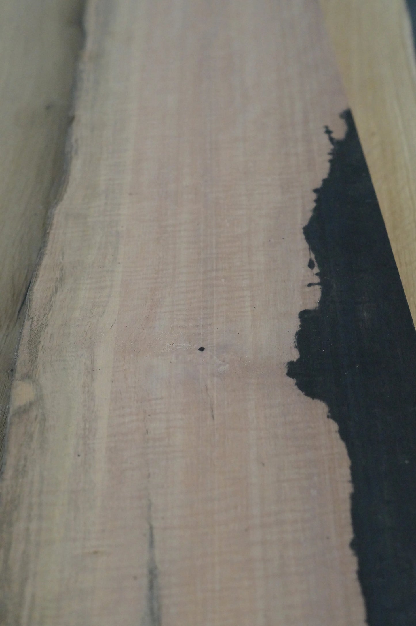 Ebenholz Bohle 210725-2