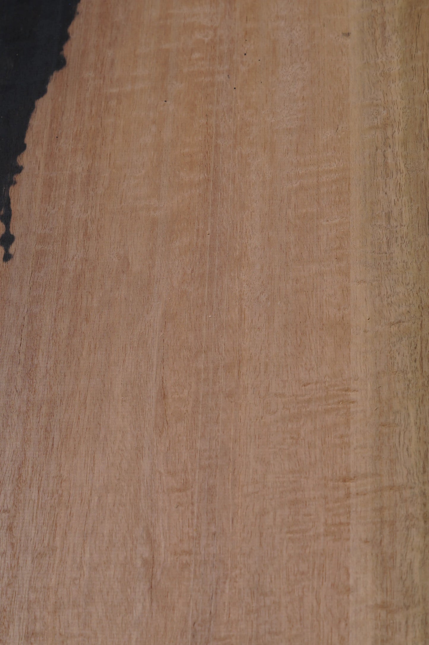 Ebenholz Bohle 210725-2