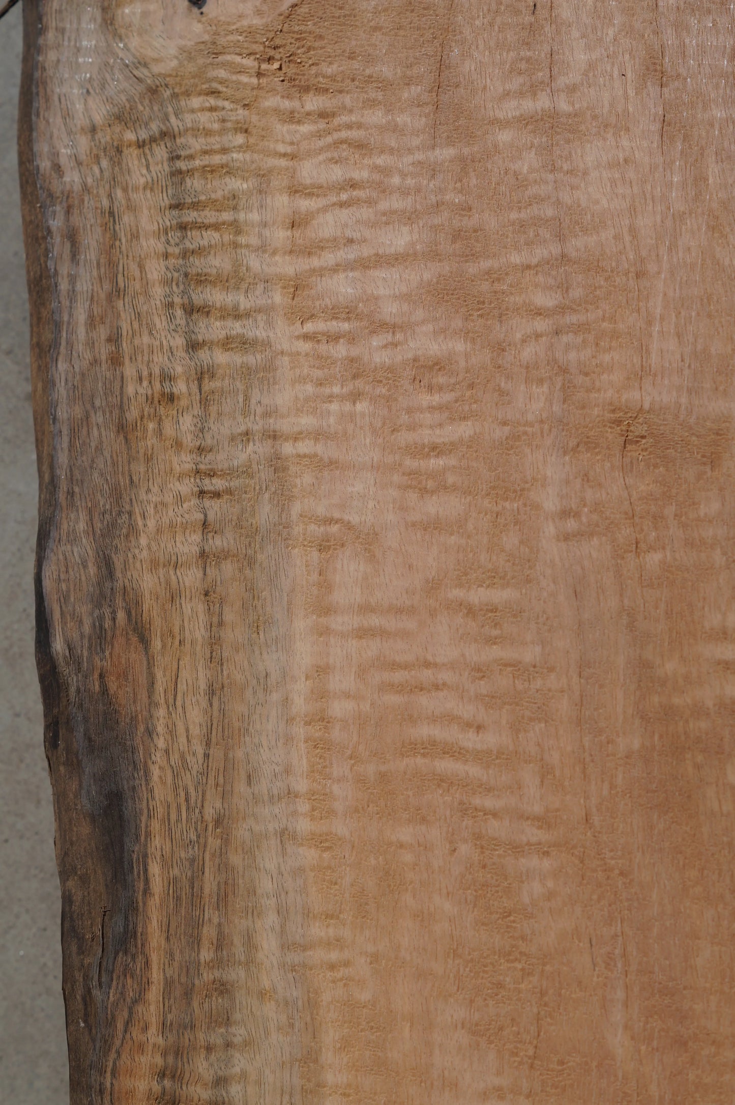 Ebenholz Bohle 210725-2
