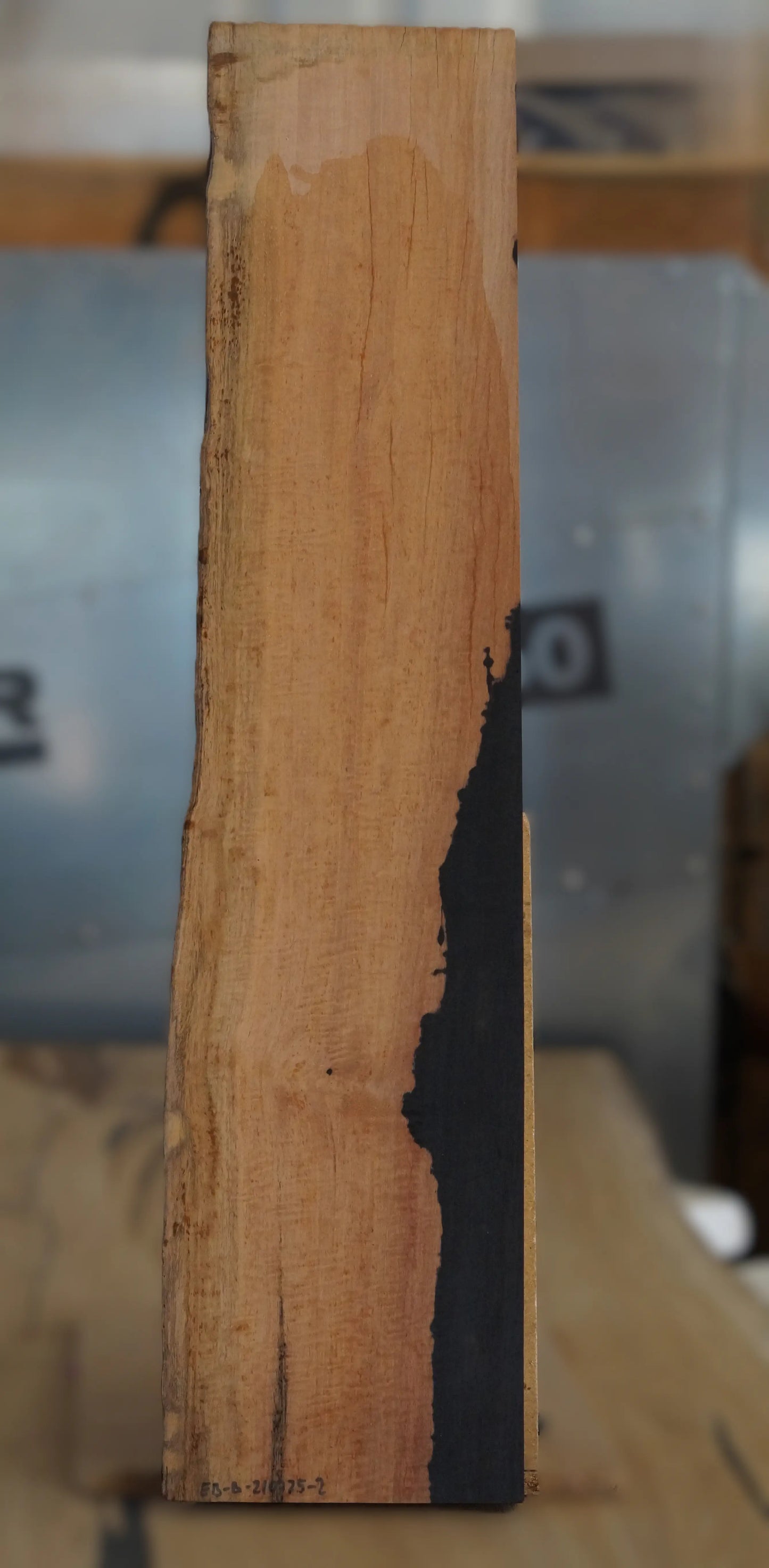 Ebenholz Bohle 210725-2