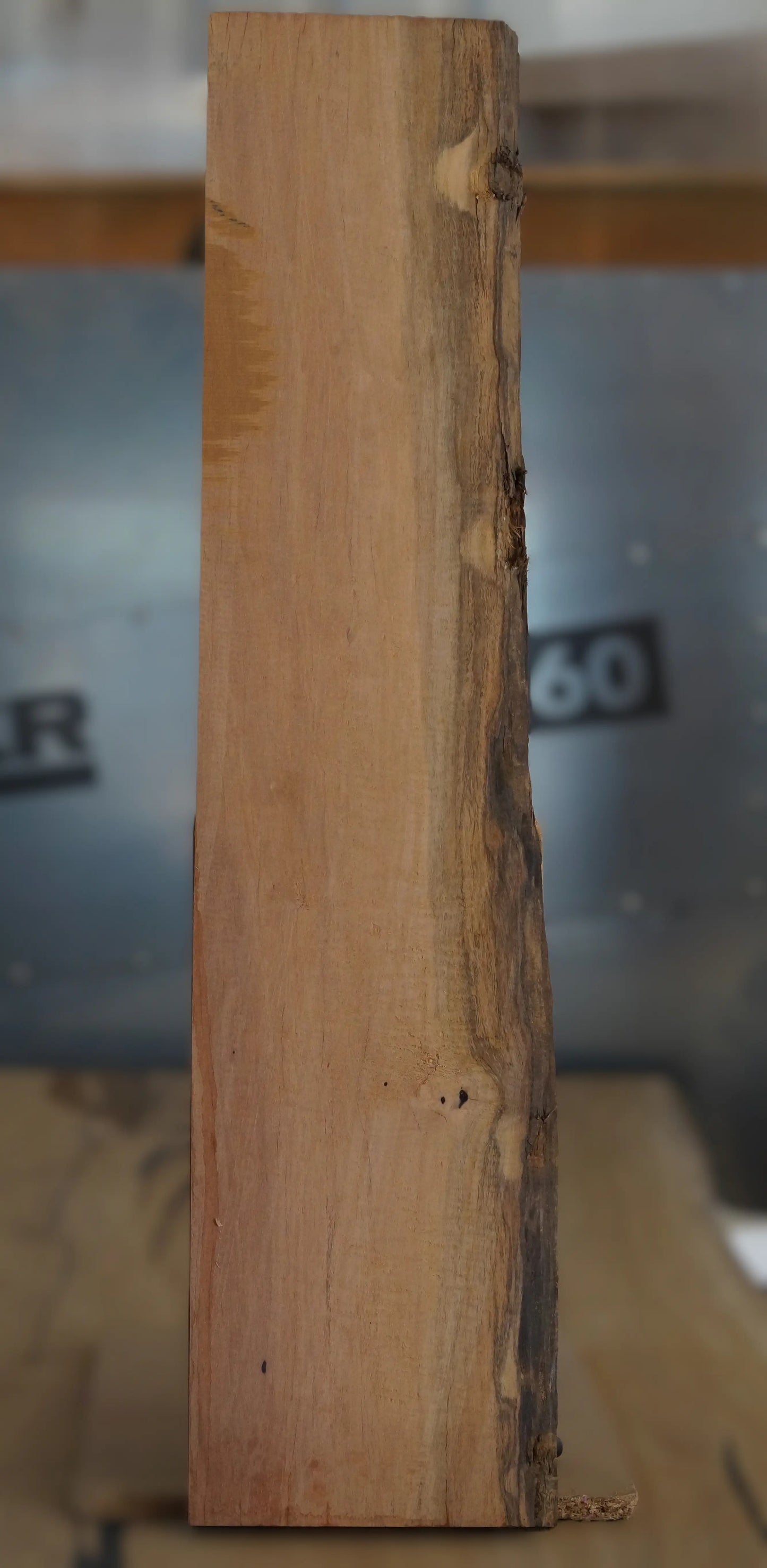 Ebenholz Bohle 210725-2