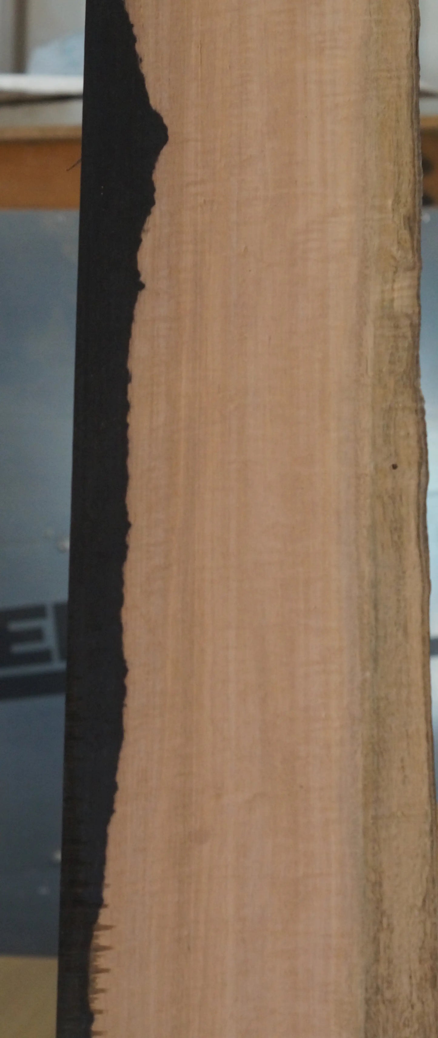Ebenholz Bohle 210725-3