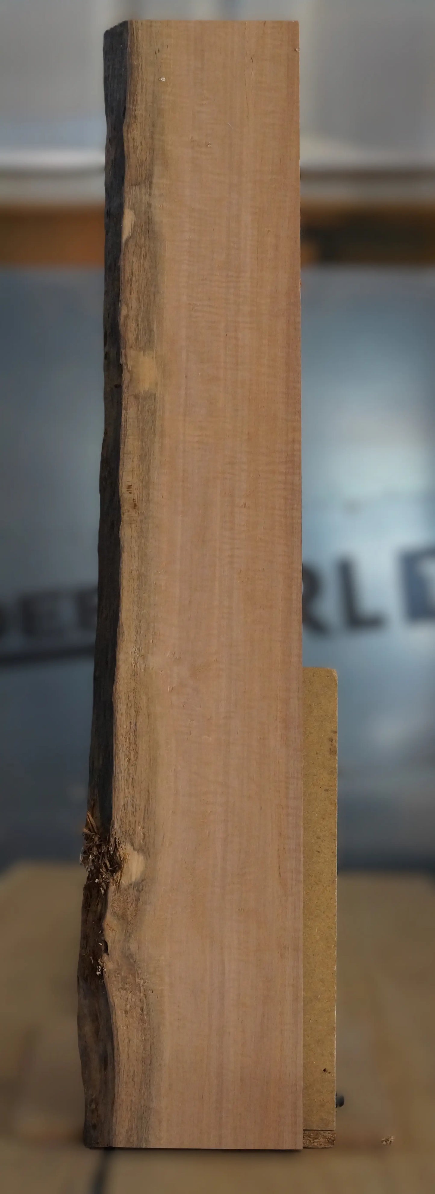 Ebenholz Bohle 210725-3