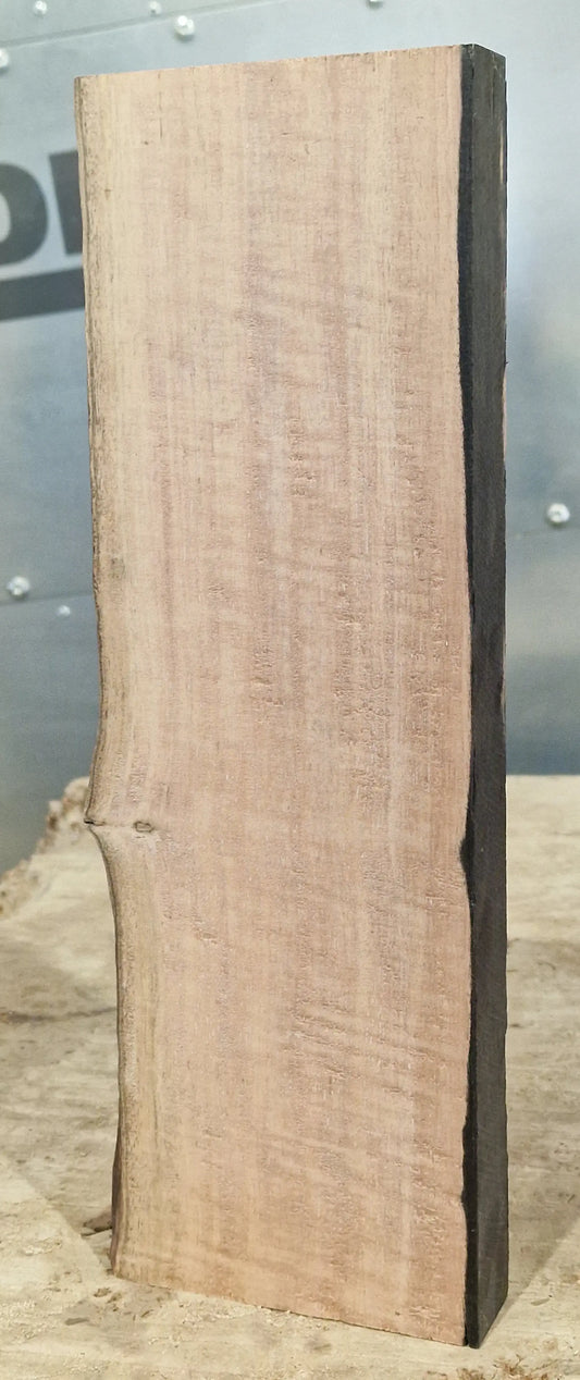 Drechselholz Ebenholz 241122