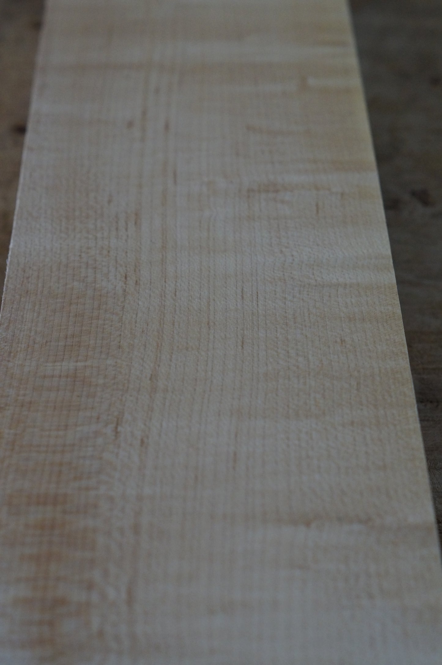 Halsrohling Hard Maple Riegel 180723-4