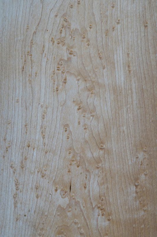 Aufleimer Birdeye Maple 290421