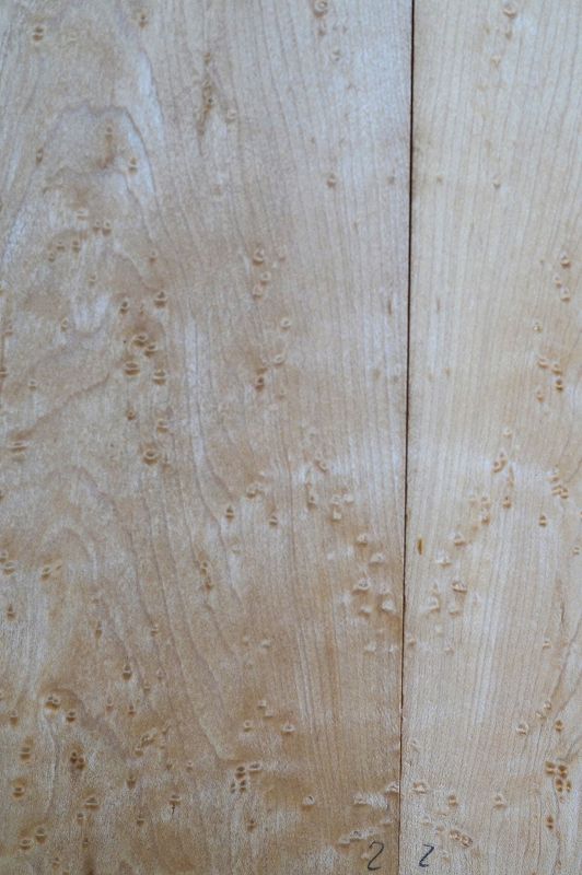 Aufleimer Birdeye Maple 290421