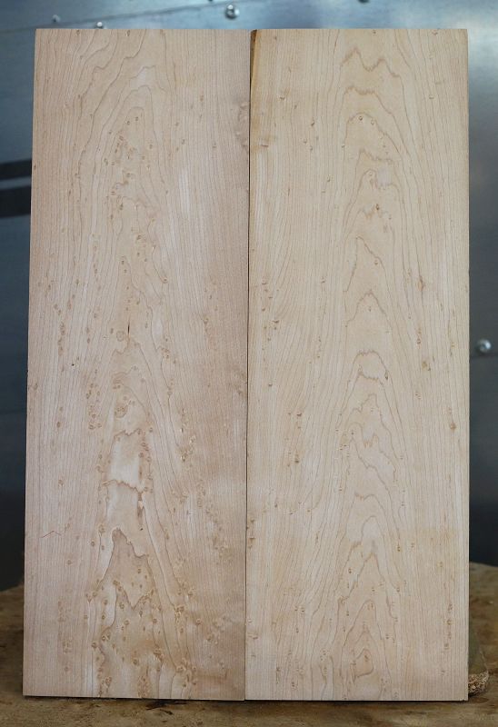 Aufleimer Birdeye Maple 290421