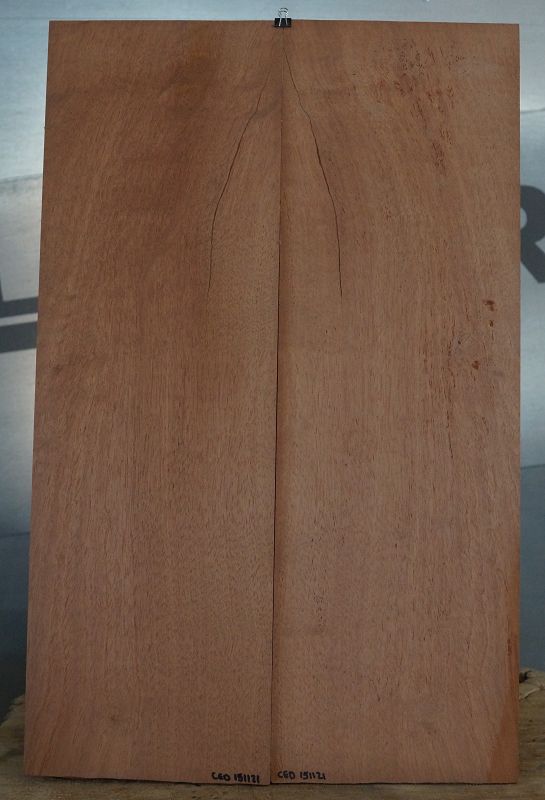 Aufleimer Cedro 151121
