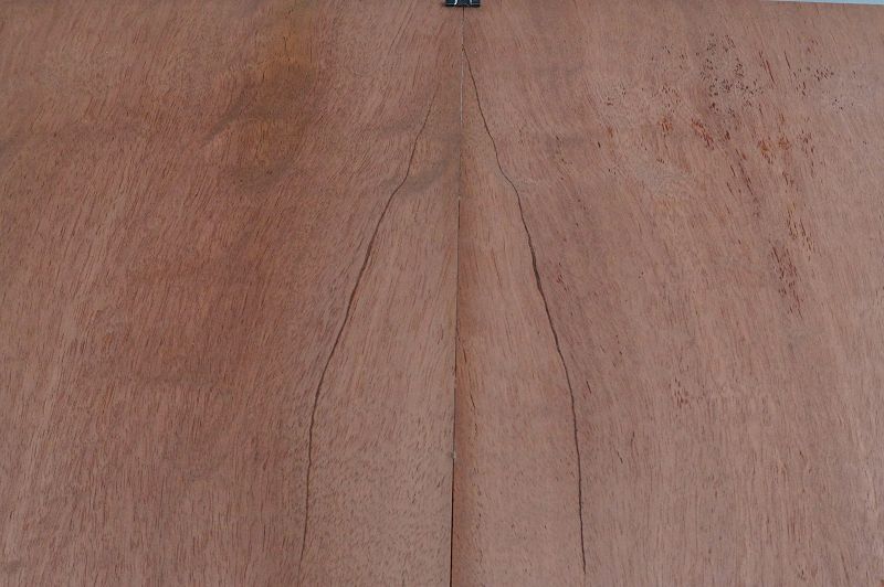 Aufleimer Cedro 151121