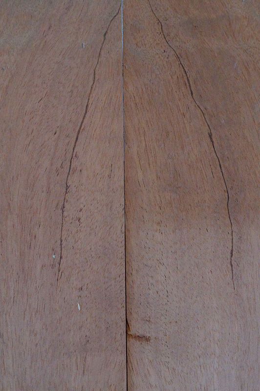Aufleimer Cedro 151121