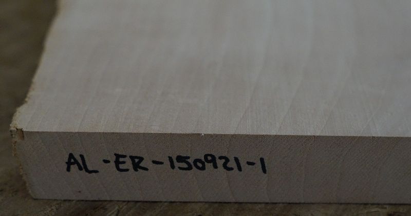 Aufleimer Erle 150921-1