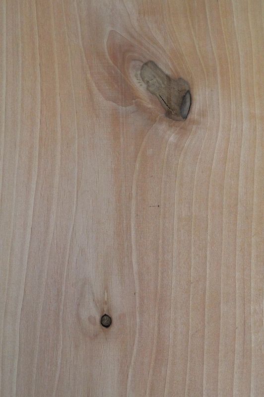 Aufleimer Erle 150921-1
