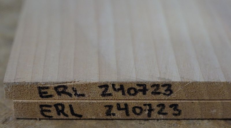 Aufleimer Erle 240723