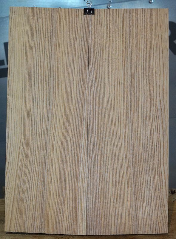 Aufleimer Esche 300822