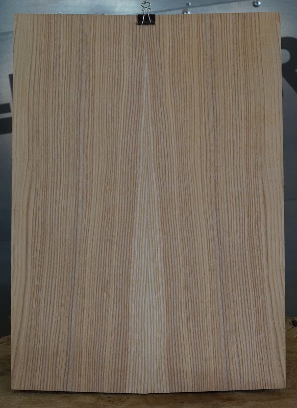 Aufleimer Esche 300822
