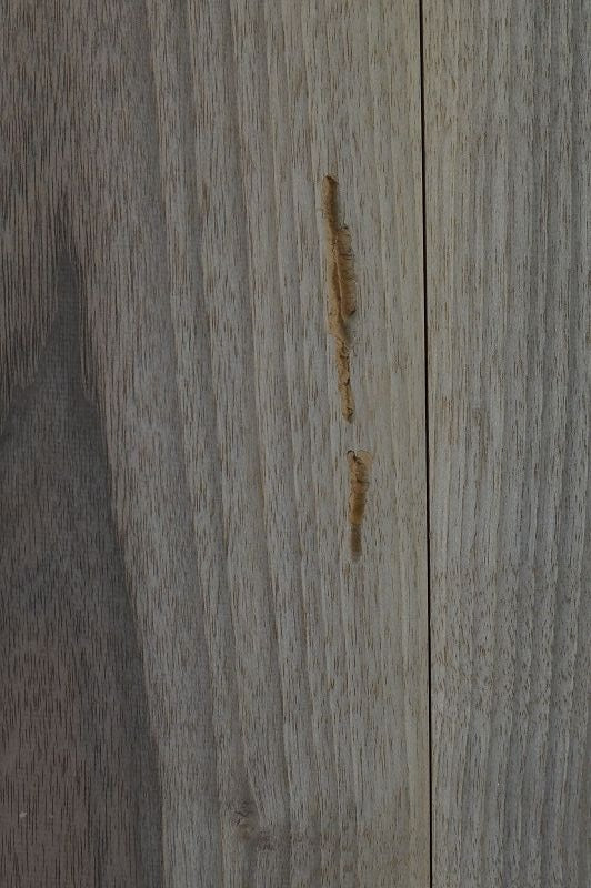 Aufleimer Nussbaum 300421-3