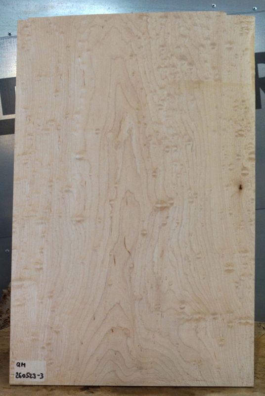 Aufleimer Blister Maple 260523-3