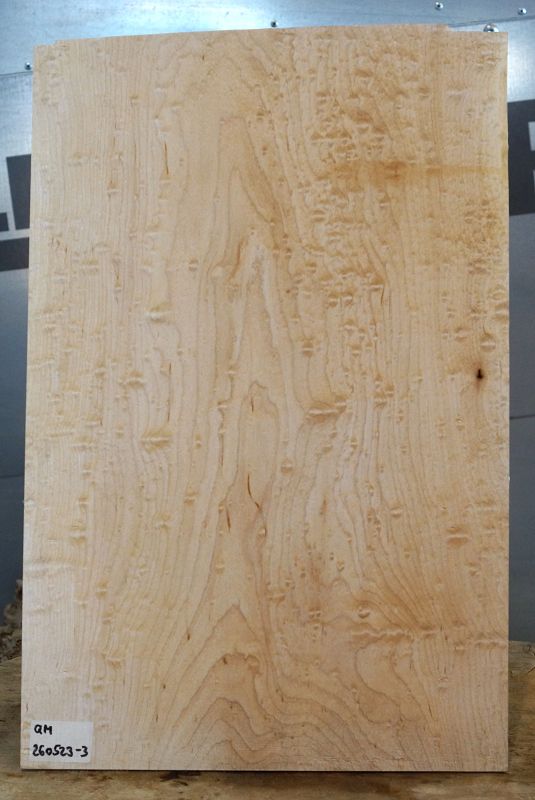 Aufleimer Blister Maple 260523-3