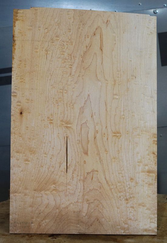 Aufleimer Blister Maple 260523-3