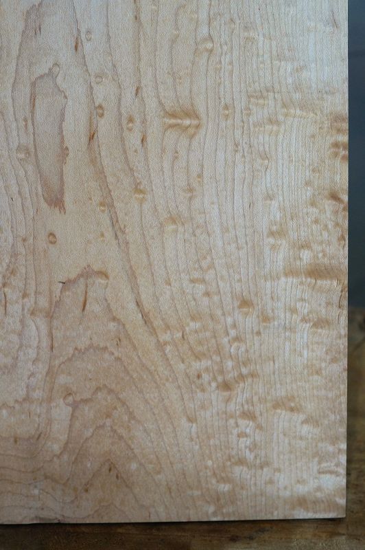 Aufleimer Blister Maple 260523-3