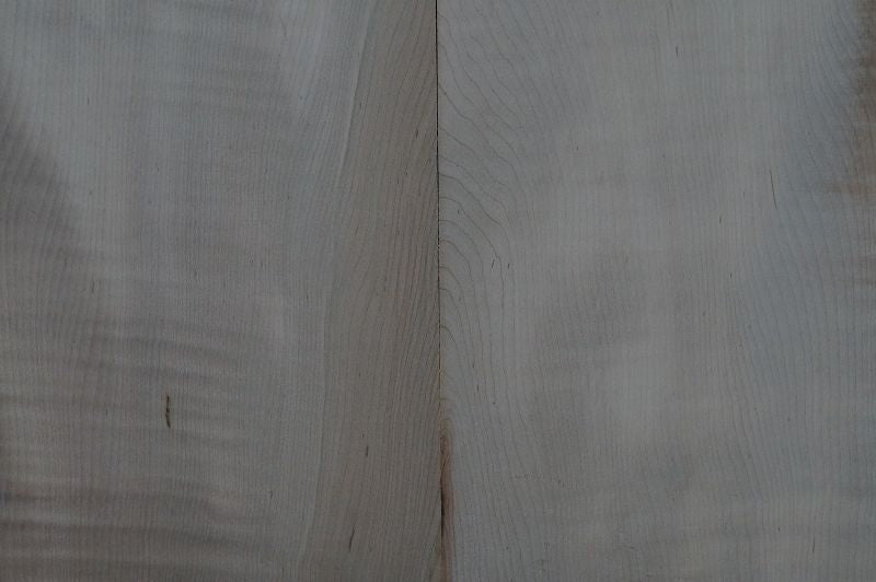Aufleimer Riegelahorn 210823