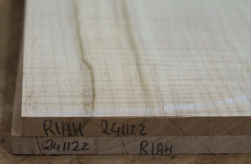 Aufleimer Riegelahorn 241122