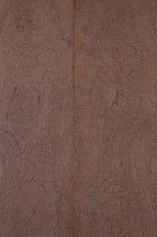 Aufleimer Sapeli Pommeliert 290822