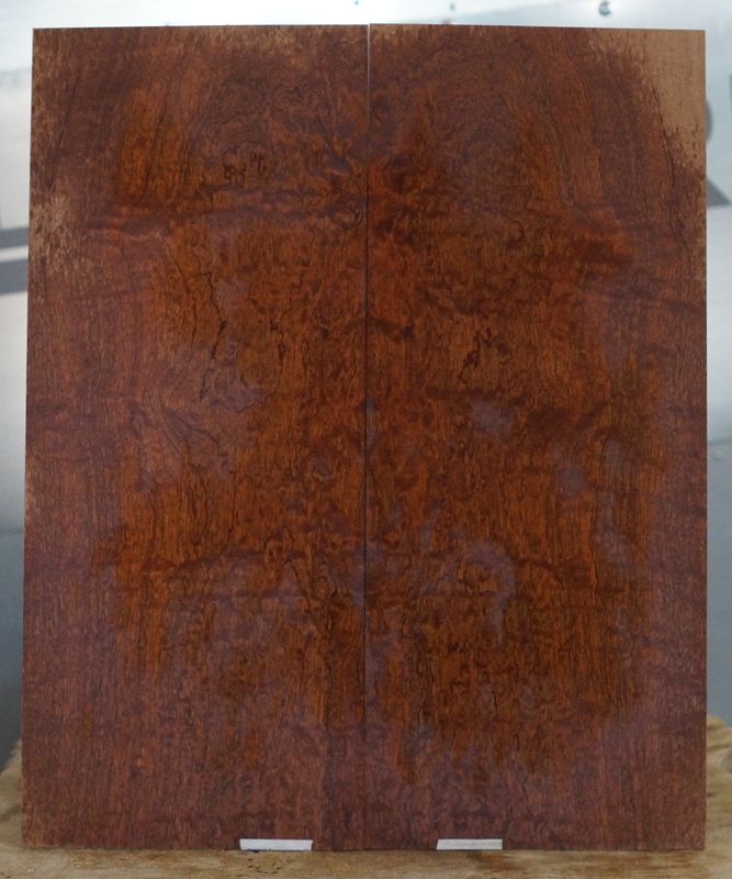 Aufleimer Sapeli Pommeliert 290822