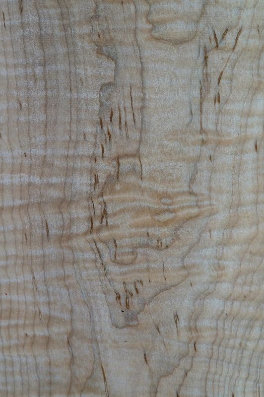 Aufleimer Quilted Maple 260523-2
