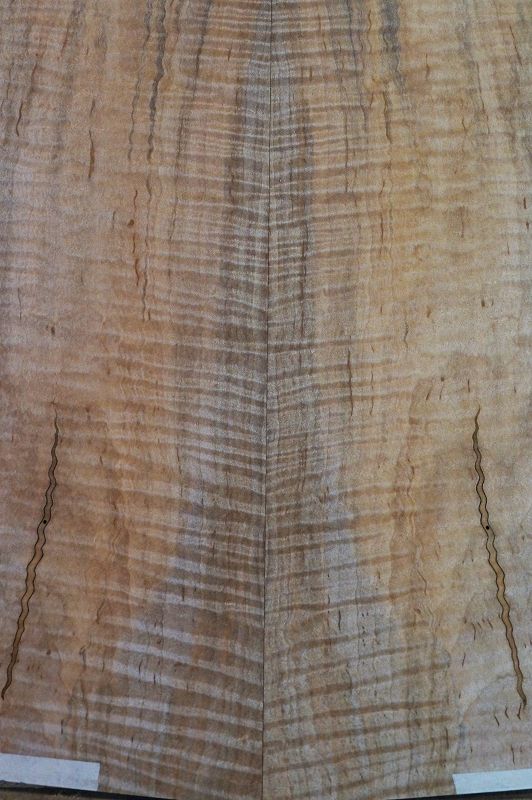 Aufleimer Soft Maple Riegel 300822-1