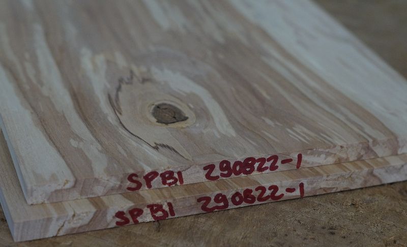 Aufleimer Birke gestockt 290822-1