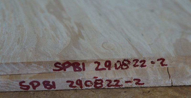 Aufleimer Birke gestockt 290822-2