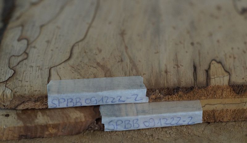 Aufleimer Spalted Birnbaum 091222-2