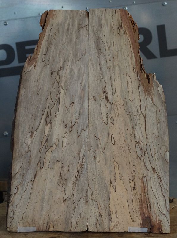Aufleimer Spalted Birnbaum 091222-2