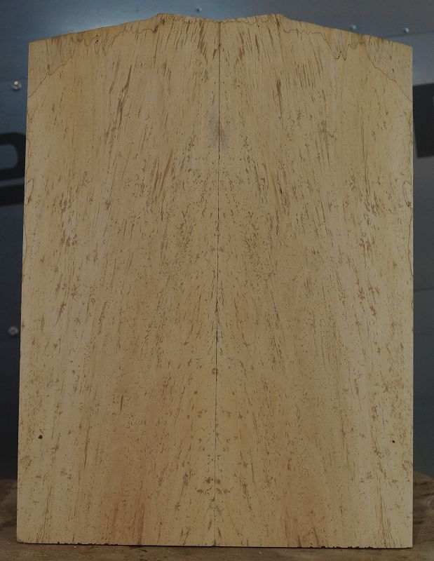 Aufleimer Birnbaum gestockt 300822