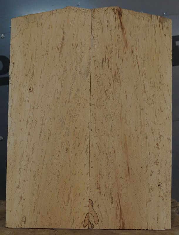 Aufleimer Birnbaum gestockt 300822