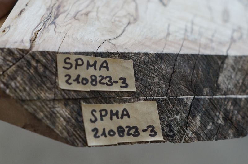 Aufleimer Spalted Maple 210823-3