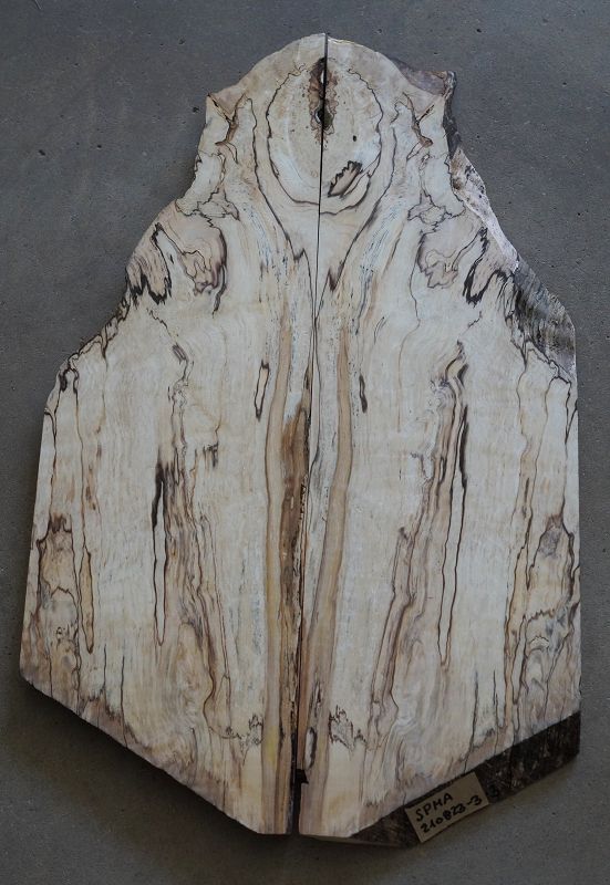 Aufleimer Spalted Maple 210823-3