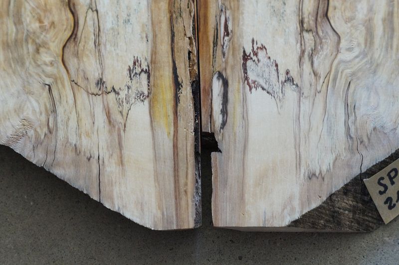 Aufleimer Spalted Maple 210823-3