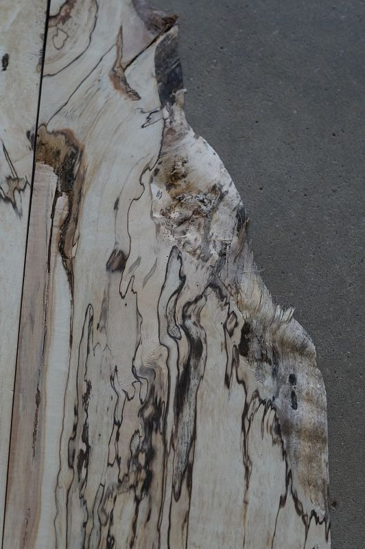 Aufleimer Spalted Maple 210823-3