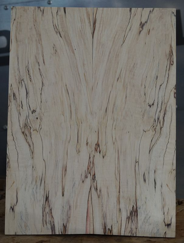 Aufleimer Spalted Maple 210823