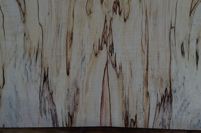 Aufleimer Spalted Maple 210823