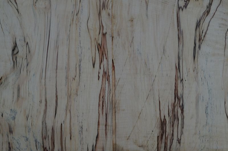 Aufleimer Spalted Maple 210823