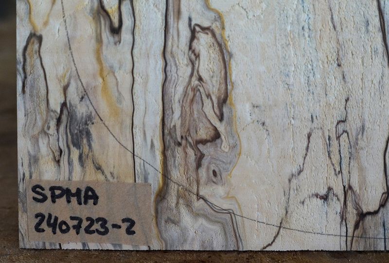 Aufleimer Spalted Maple 240723-2