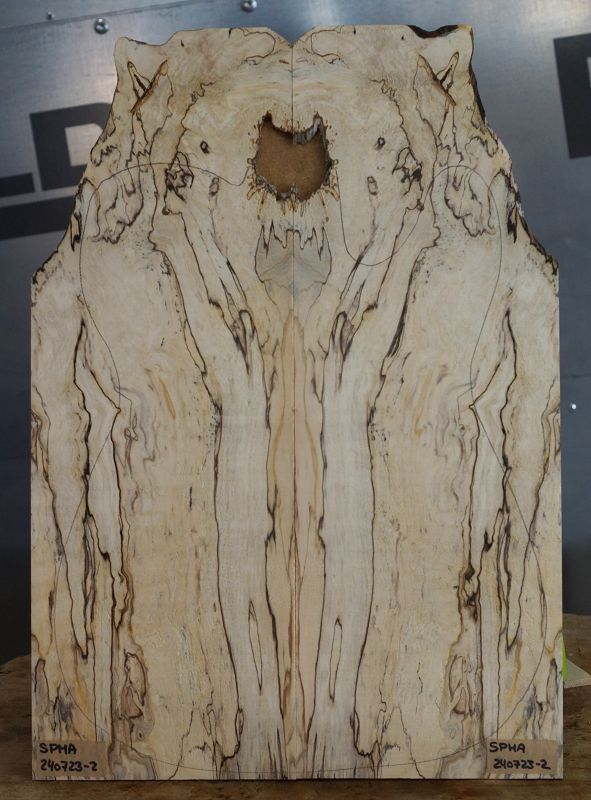 Aufleimer Spalted Maple 240723-2