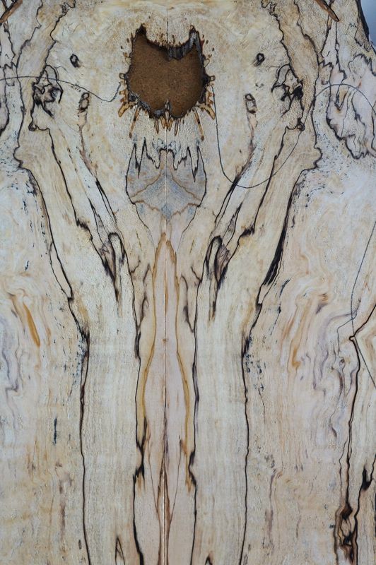 Aufleimer Spalted Maple 240723-2