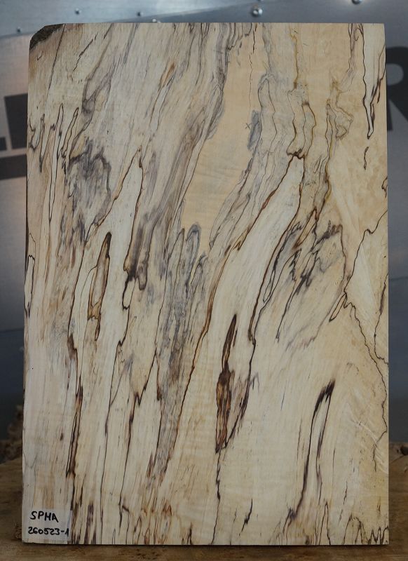 Aufleimer Spalted Maple 260523-1